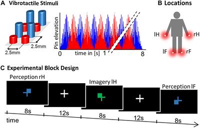 The Somatotopy of Mental Tactile Imagery